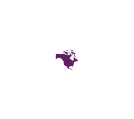 Black Pearl Vision Logo